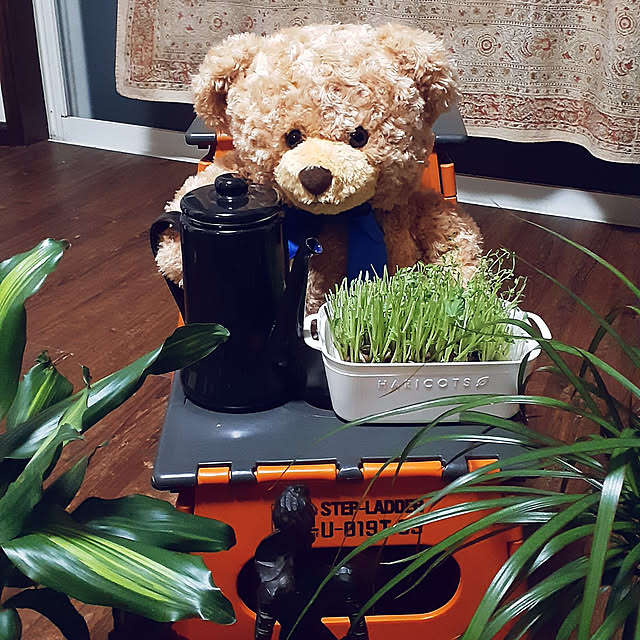 takayasuさんの実例写真