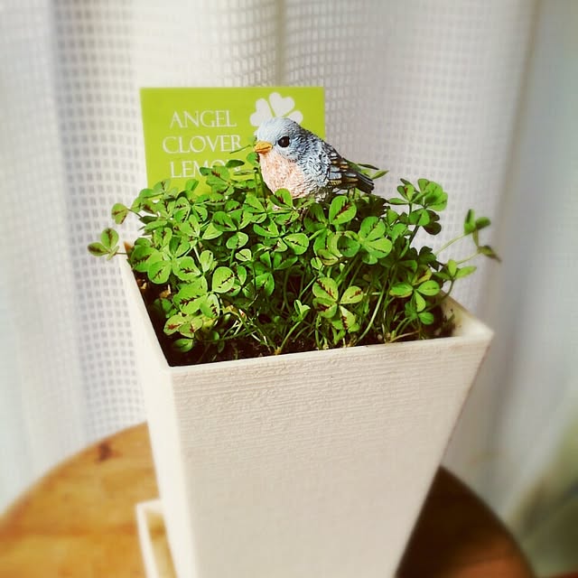 negiさんの実例写真