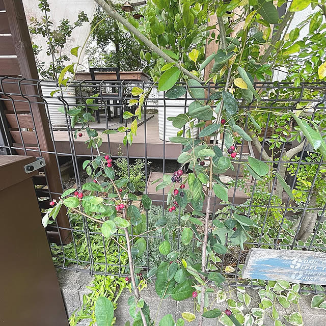 kuroさんの実例写真