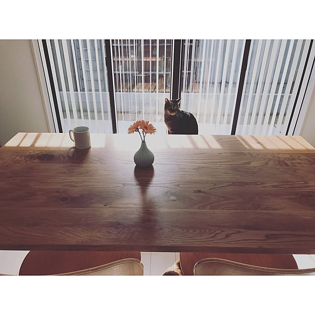 ringonecoさんの実例写真
