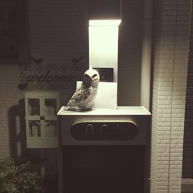 suzyさんの実例写真