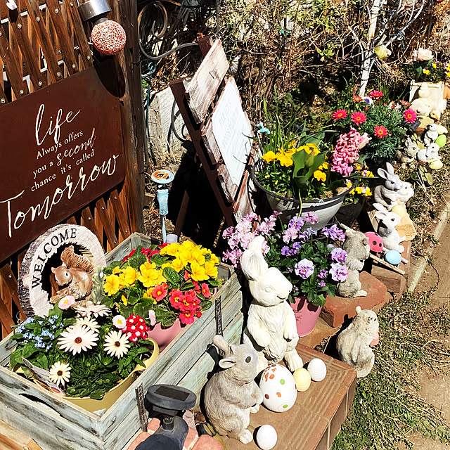 taeさんの実例写真