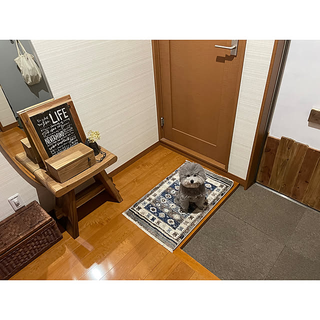 実例写真