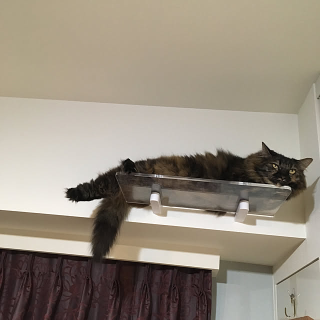 mikomaruさんの実例写真