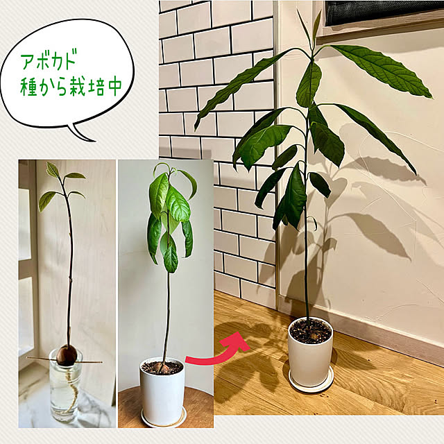 sachieyさんの部屋