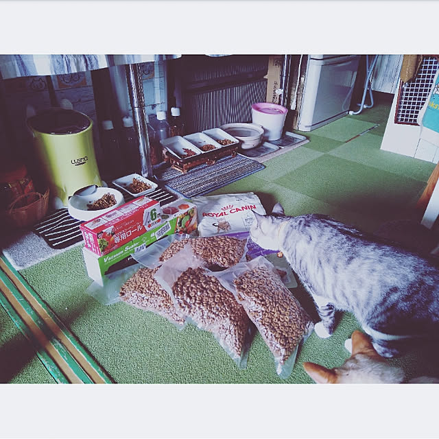 mntcさんの実例写真