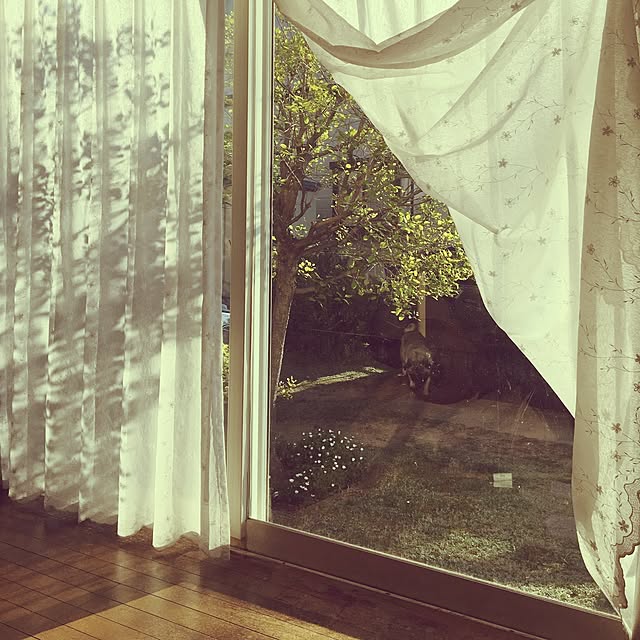 suzukoさんの実例写真