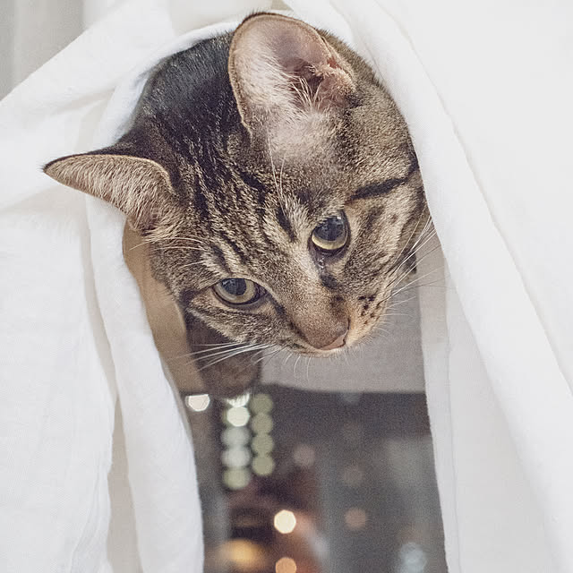 oliveさんの部屋