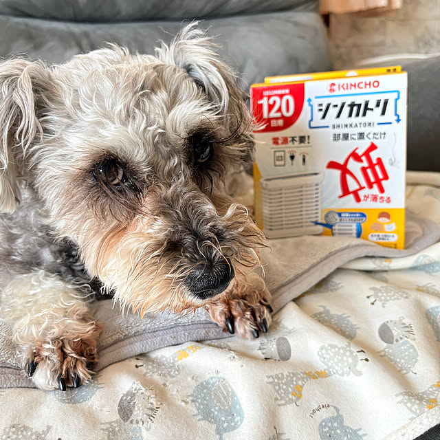 alchoさんの実例写真