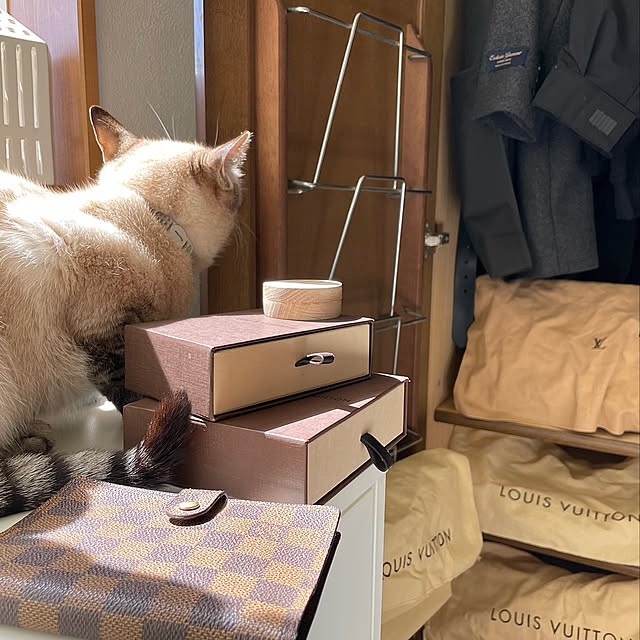 chieさんの実例写真