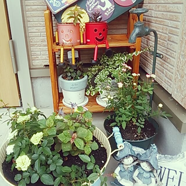 serikoさんの実例写真