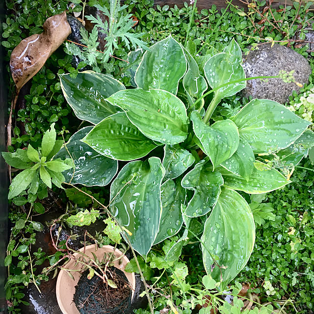 Sakkoさんの部屋