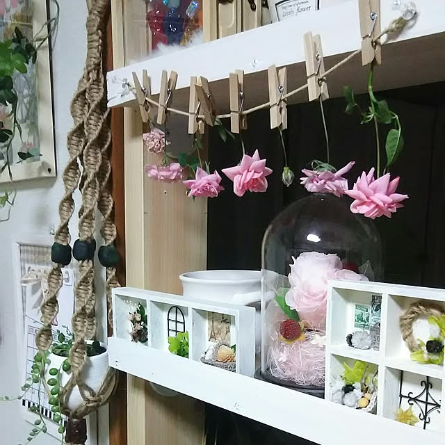 naopyiさんの実例写真