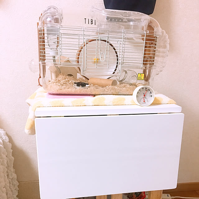 kanae-cloverさんの実例写真