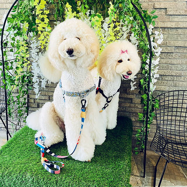 nackeyさんの実例写真
