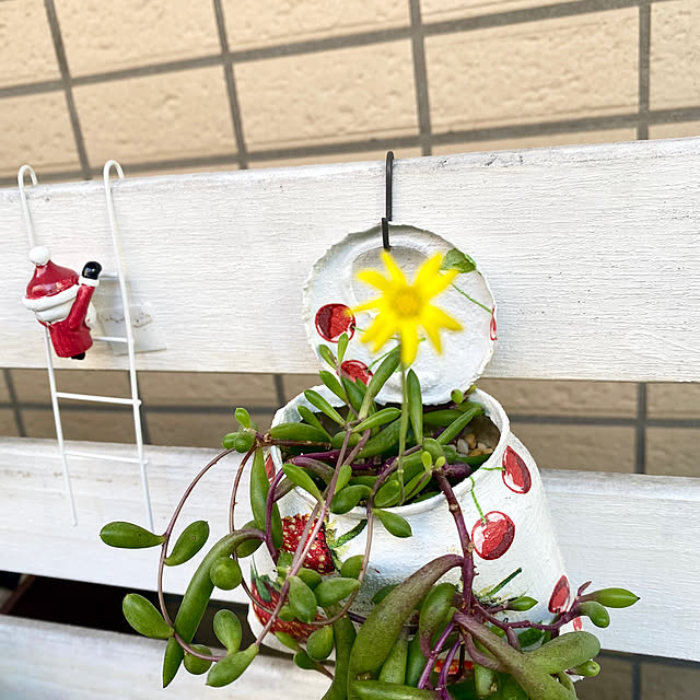 YuuKoさんの実例写真