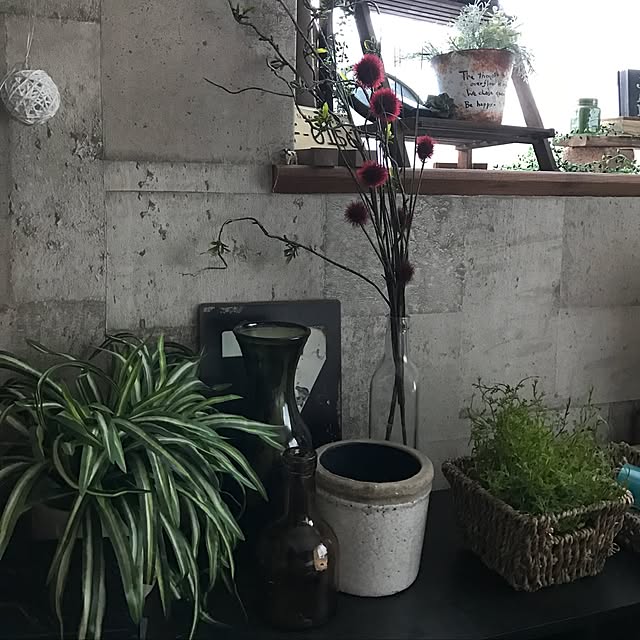 miwaさんの実例写真