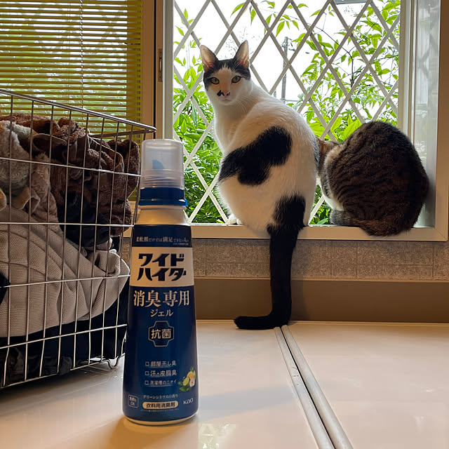 nobikoさんの部屋