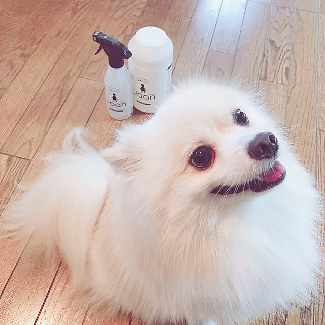 hoshimamaさんの実例写真
