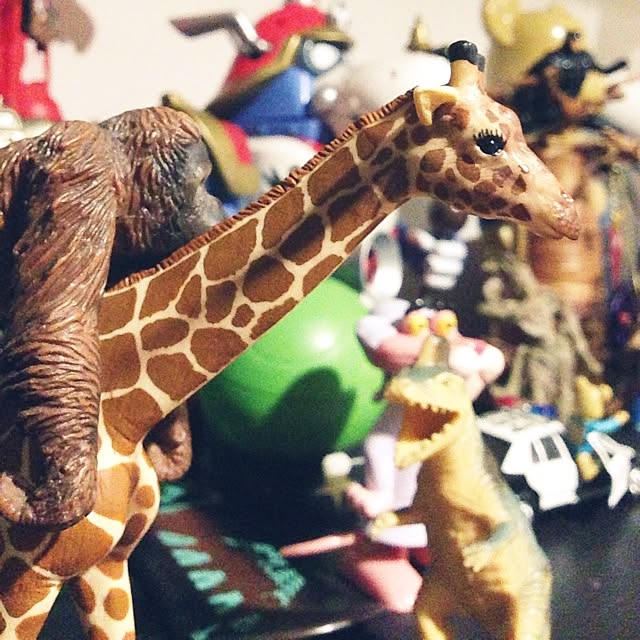 Hatoさんの実例写真