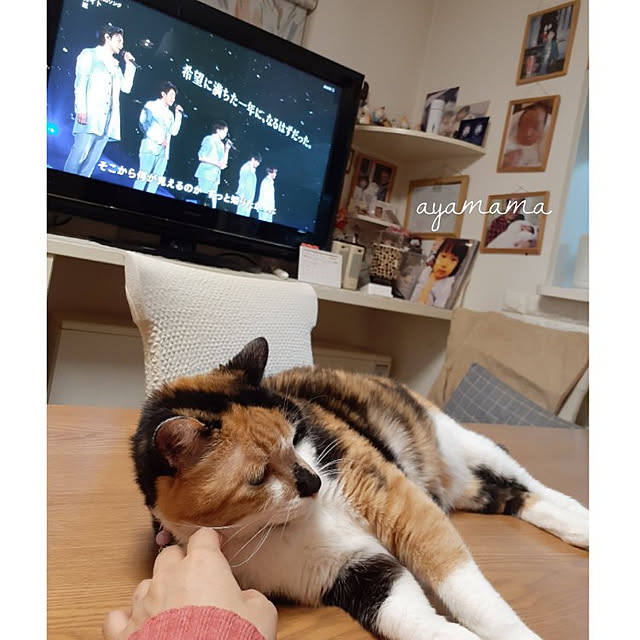 ayamamaさんの実例写真