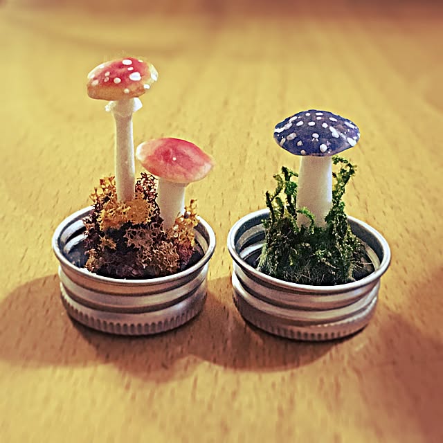 ramuchop3000さんの実例写真