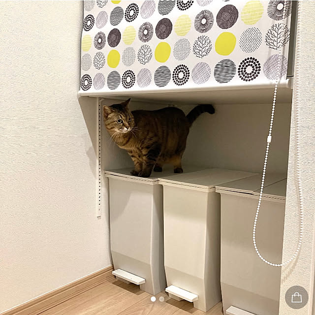 kirinsanさんの部屋