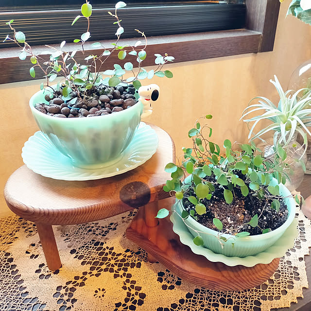 michiさんの実例写真