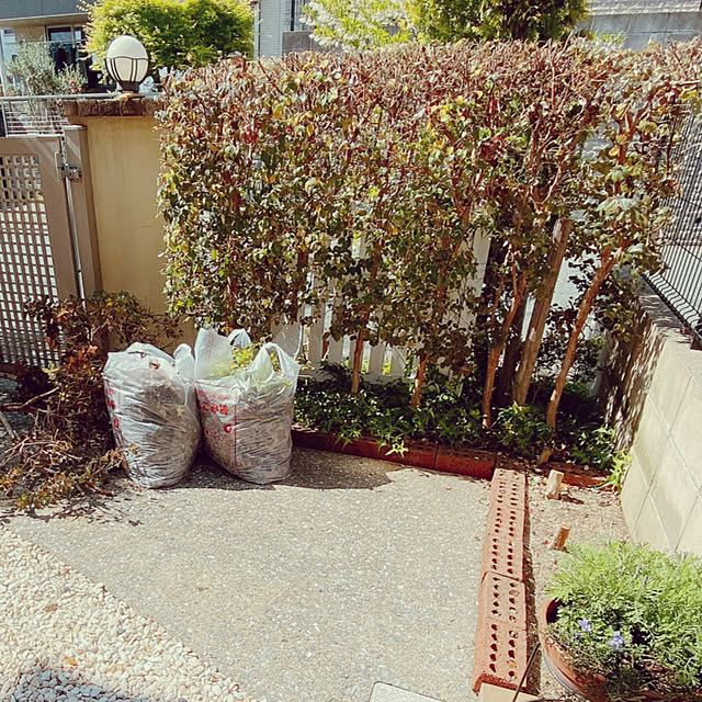 moolさんの部屋