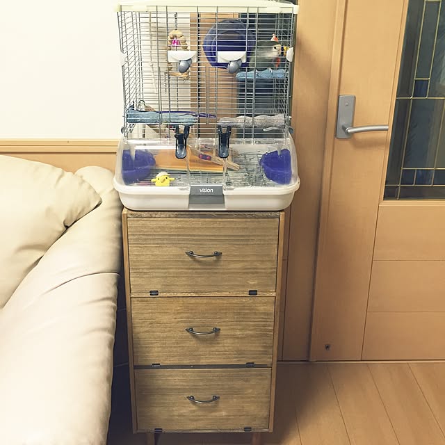 kaotanさんの実例写真