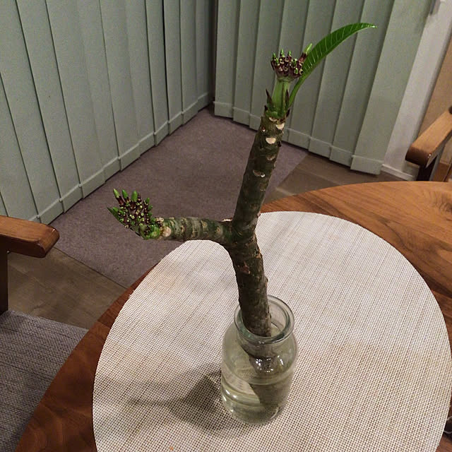 houenさんの部屋