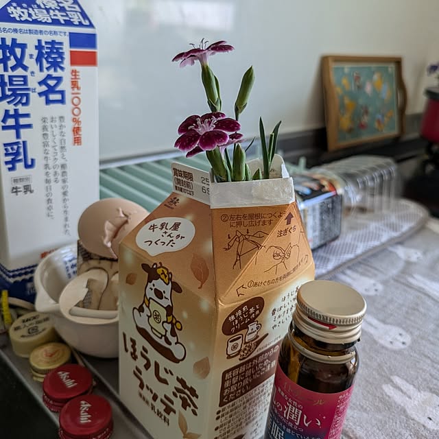 minnieさんの部屋