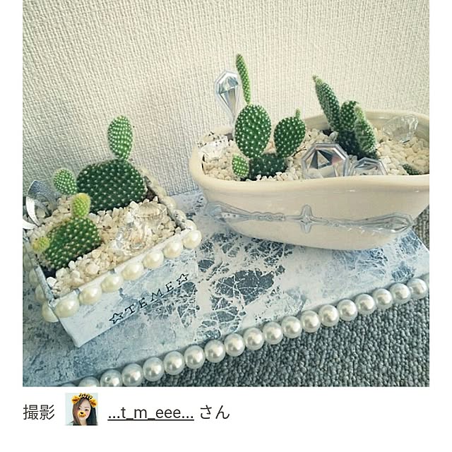...t_m_eee...さんの実例写真