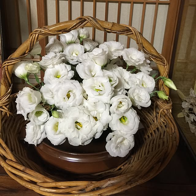 fusaさんの実例写真