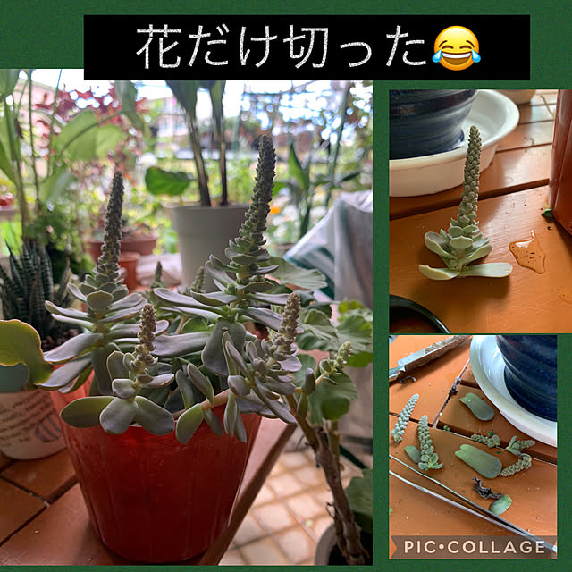 Aqettyさんの部屋