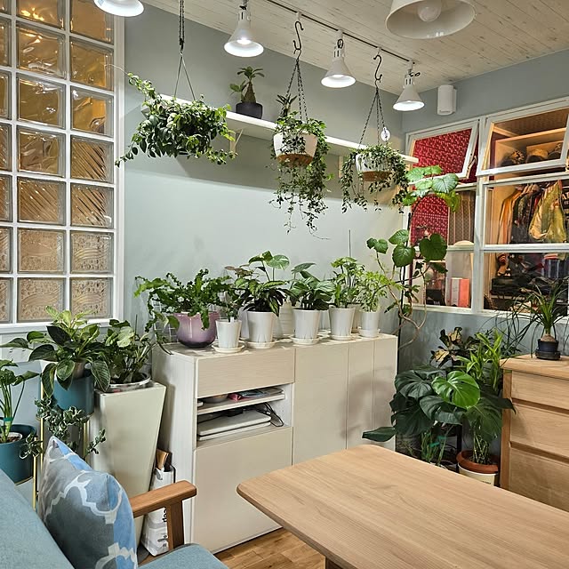 nonbiri_house_さんの部屋