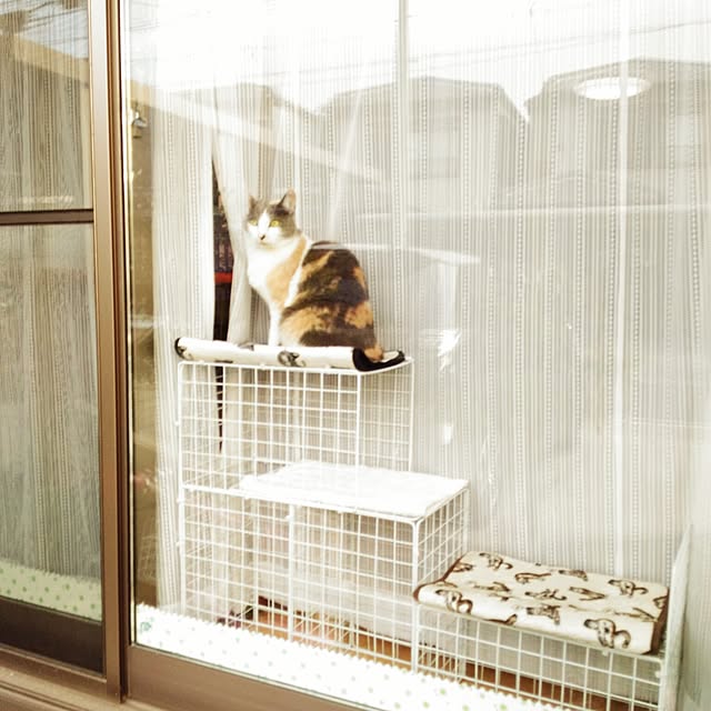 sisimaru1023さんの実例写真