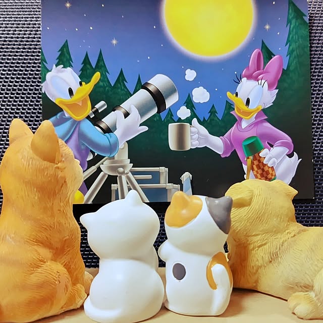 katさんの実例写真