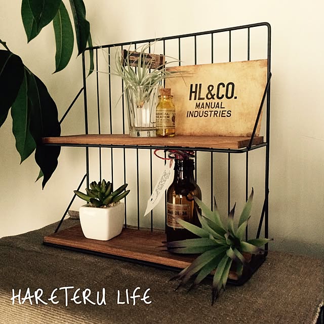 haresaaaさんの実例写真