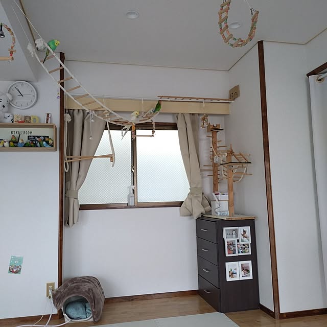 toratanさんの実例写真
