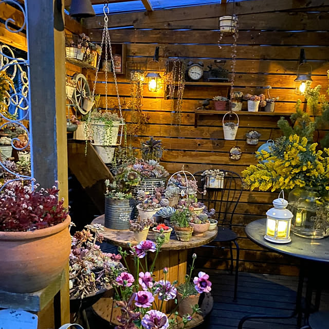 mintteaさんの部屋