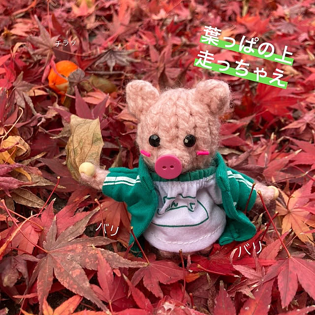 manduonmaさんの実例写真