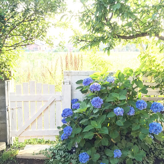 SONNTAGHAUSさんの実例写真