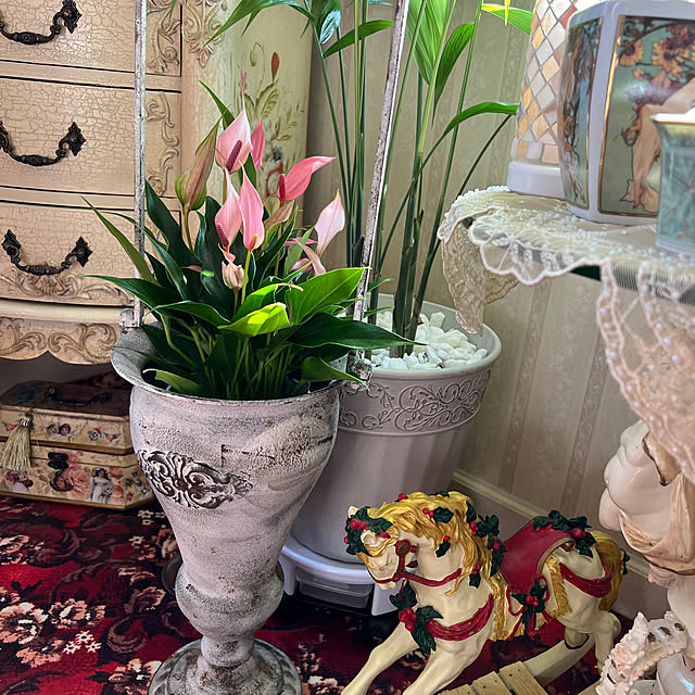 AYUKOさんの部屋