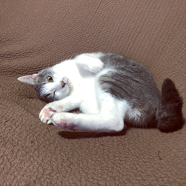 earthさんの実例写真