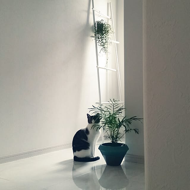 runayucoさんの実例写真
