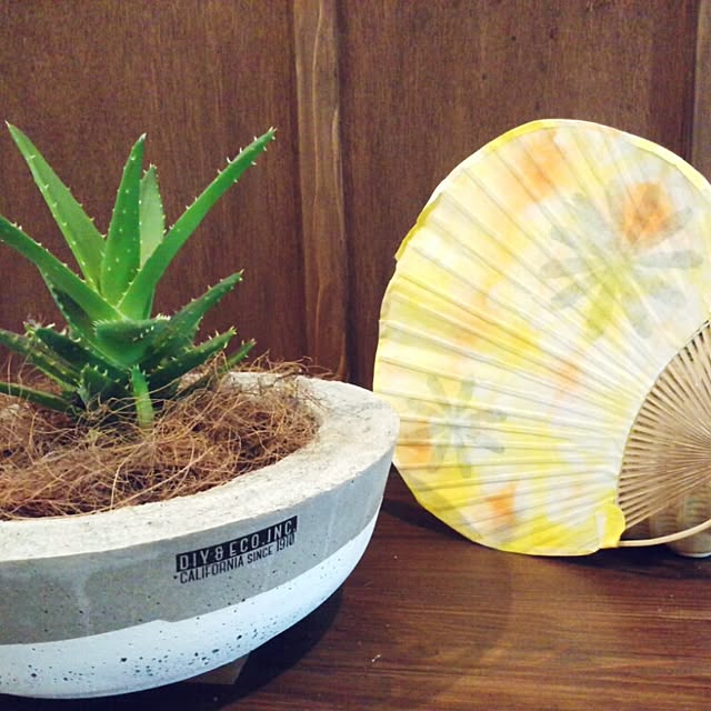 oliveさんの実例写真