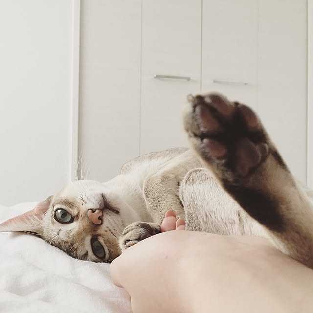 a-mkさんの実例写真