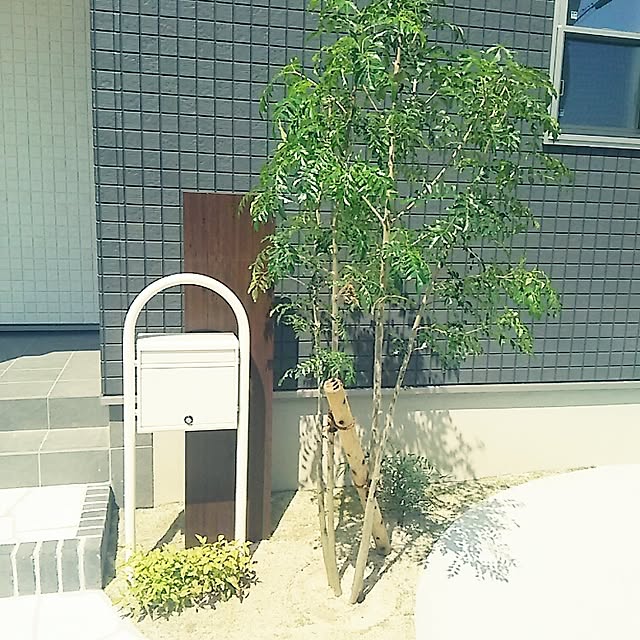 ayunさんの実例写真