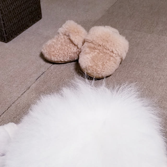 takoさんの実例写真